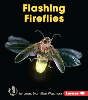 Flashing Fireflies by Laura Hamilton Waxman