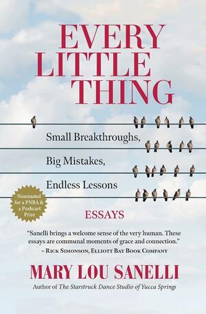 Every Little Thing: Small Breakthroughs, Big Mistakes, Endless Lessons by Mary Lou Sanelli