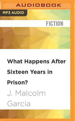What Happens After Sixteen Years in Prison? by J. Malcolm Garcia