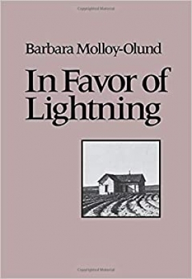 In Favor of Lightning by Barbara Molloy-Olund