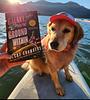 scenicreading's profile picture