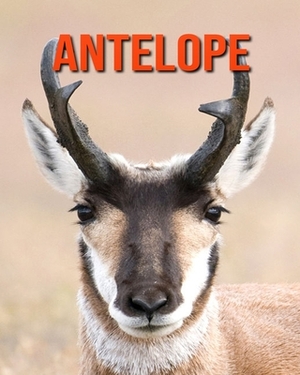 Antelope: Amazing Facts about Antelope by Devin Haines