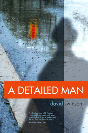 A Detailed Man by David Swinson