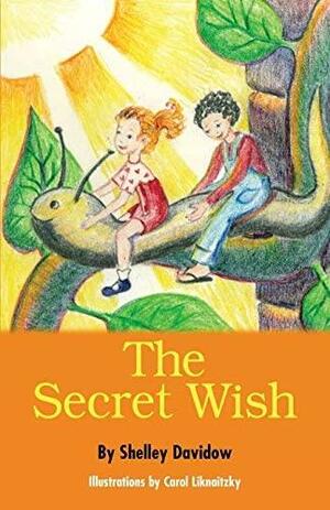 The Secret Wish by Shelley Davidow