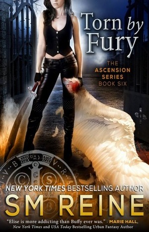 Torn by Fury by S.M. Reine