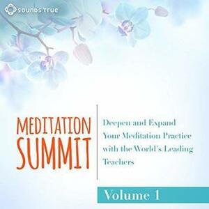 The Meditation Summit: Volume 1: Deepen and Expand Your Meditation Practice with the World's Leading Teachers by Reginald A. Ray, Snatam Kaur