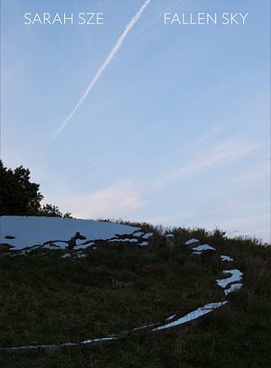 Sarah Sze: Fallen Sky by Nora R. Lawrence