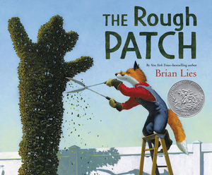 The Rough Patch by Brian Lies