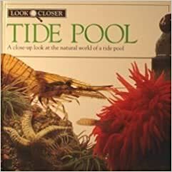 Tide Pool by Frank Greenaway, Christiane Gunzi