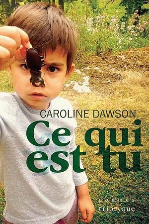 Ce qui est tu by Caroline Dawson