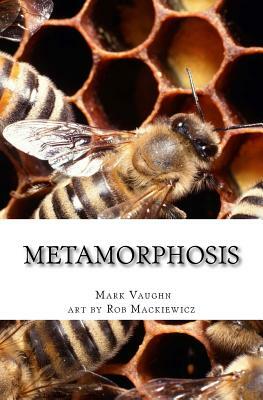 Metamorphosis by Mark Vaughn