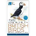 RSPB Handbook of British Birds by Peter Holden