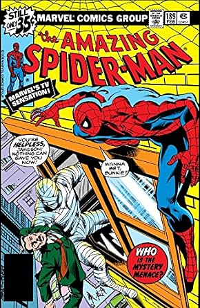 Amazing Spider-Man #189 by Marv Wolfman