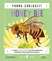 Honey Bee (Young Zoologist): A First Field Guide to the World's Favorite Pollinating Insect by Priyadarshini Chakrabarti Basu, Neon Squid