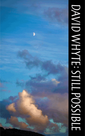 Still Possible by David Whyte