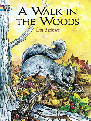A Walk in the Woods by Dorothy Barlowe