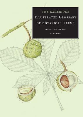 The Cambridge Illustrated Glossary of Botanical Terms by Clive King, Michael Hickey