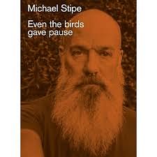 Michael Stipe: Even the Birds Gave Pause by Michael Stipe