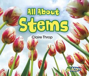 All about Stems by Claire Throp