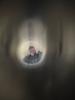 hispersonfriday's profile picture