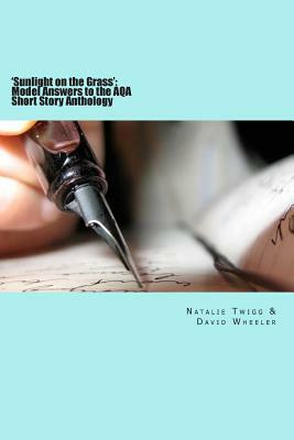 'Sunlight on the Grass': Model Answers to the AQA Short Story Anthology: Large Print Edition by Natalie Twigg, David Wheeler