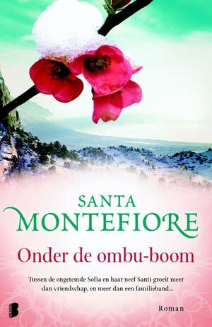 Onder de ombu-boom by Santa Montefiore