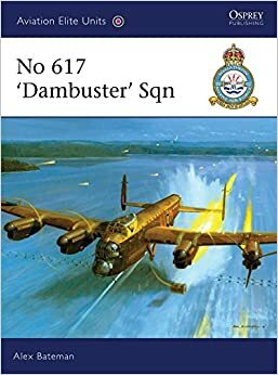 No 617 ‘Dambuster' Sqn by Alex Bateman