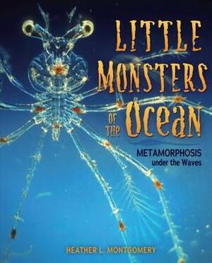 Little Monsters of the Ocean: Metamorphosis under the Waves by Heather L. Montgomery