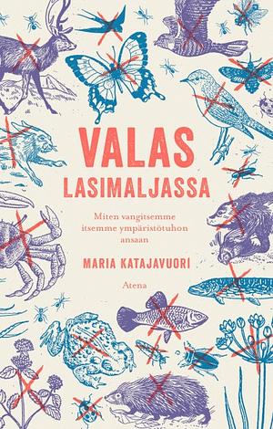 Valas lasimaljassa: miten vangitsemme itsemme ympäristötuhon ansaan by Maria Katajavuori