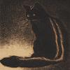 dipschatterjee's profile picture