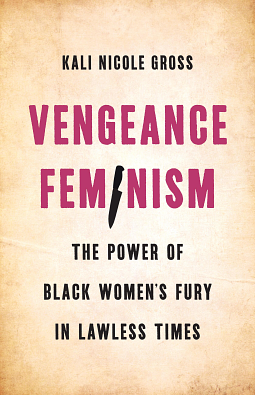 Vengeance Feminism  by Kali Nicole Gross