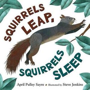 Squirrels Leap, Squirrels Sleep by April Pulley Sayre, Steve Jenkins