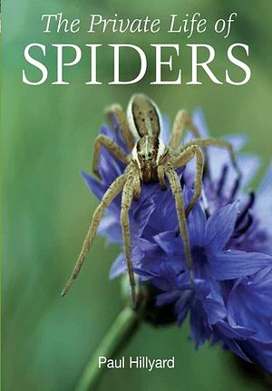 The Private Life of Spiders by Paul Hillyard