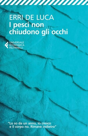 I pesci non chiudono gli occhi by Erri De Luca