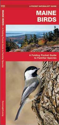 Maine Birds: A Folding Pocket Guide to Familiar Species by Waterford Press, James Kavanagh