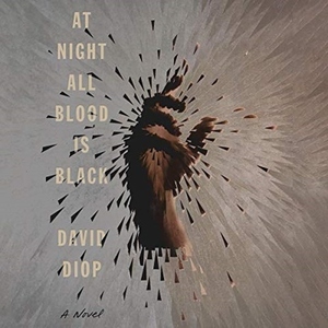 At Night All Blood Is Black by David Diop