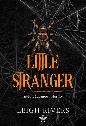 Little Stranger: meu céu, meu inferno by Leigh Rivers