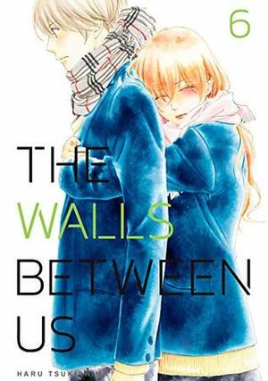 The Walls Between Us, Vol. 6 by Haru Tsukishima