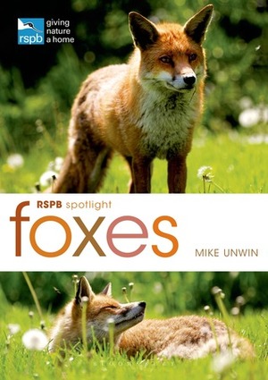 RSPB Spotlight: Foxes by Mike Unwin