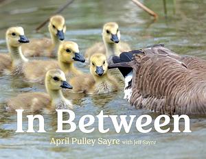 In Between by Jeff Sayre, April Pulley Sayre