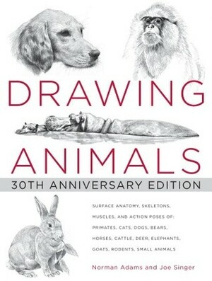 Drawing Animals by Joe Singer, Norman Adams