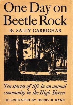 One Day On Beetle Rock by Sally Carrighar, Sally Carrighar