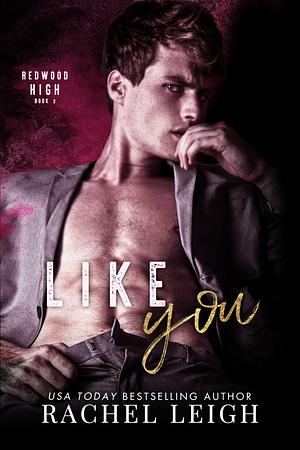 Like You by Rachel Leigh