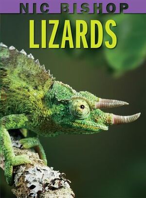 Lizards by Nic Bishop