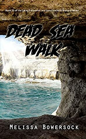 Dead Sea Walk by Melissa Bowersock