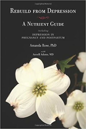 Rebuild From Depression: A Nutrient Guide Including Depression In Pregnancy And Postpartum by Annell Adams, Amanda Rose