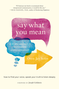Say What You Mean: A Mindful Approach to Nonviolent Communication by Oren Jay Sofer