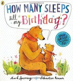 How Many Sleeps To My Birthday? by Mark Sperring, Mark Sperring