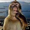 cymlish's profile picture