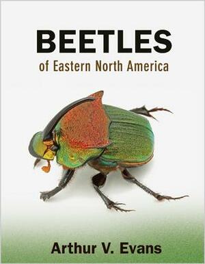 Beetles of Eastern North America by Arthur V. Evans